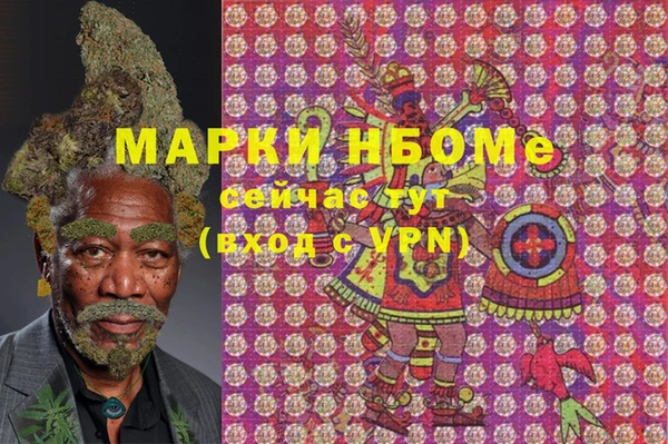 apvp Инсар