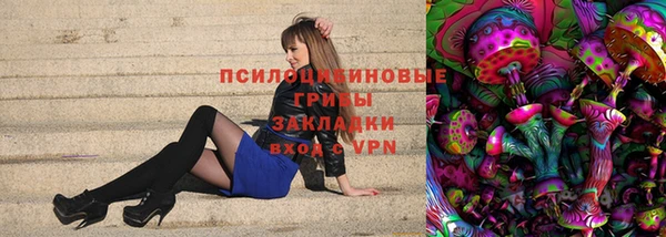 a pvp Зеленокумск