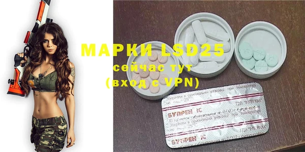 apvp Инсар