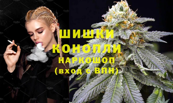 apvp Инсар
