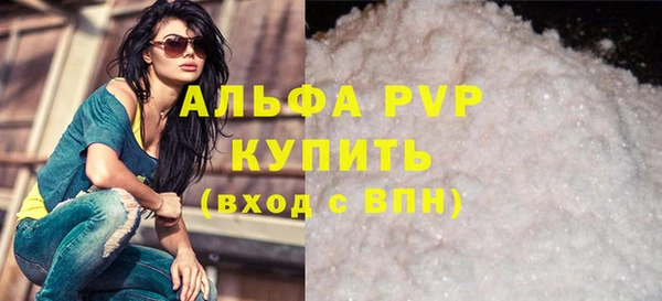 apvp Инсар