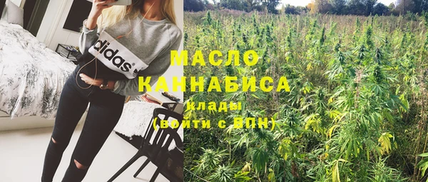 apvp Инсар