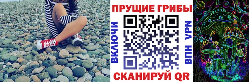 Галлюциногенные грибы Psilocybe  Купить закладки  Горнозаводск 